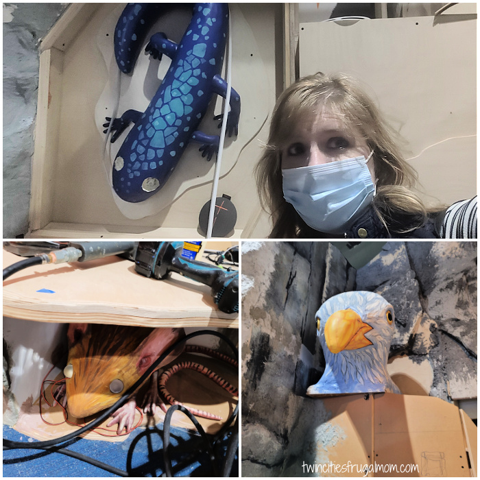 mcm shipwreck adventures animals