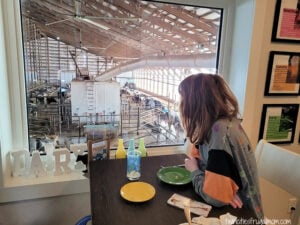 new day dairy guestbarn breakfast cows