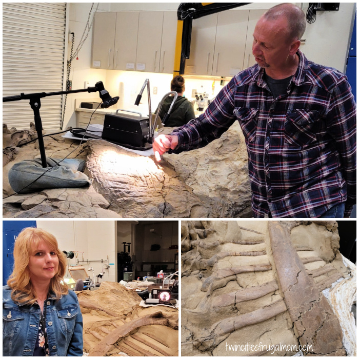 bismarck dinomummy tour