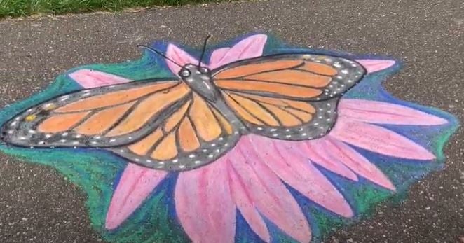 chalk walk butterfly