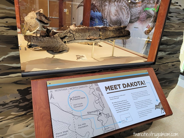 north dakota museum meet dakota