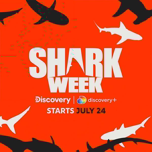 discovery shark week