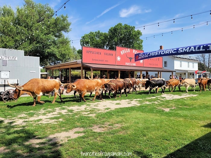 abilene cattle drive