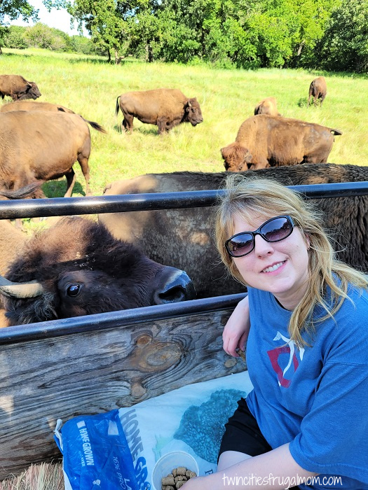 feeding bison wamego kansas