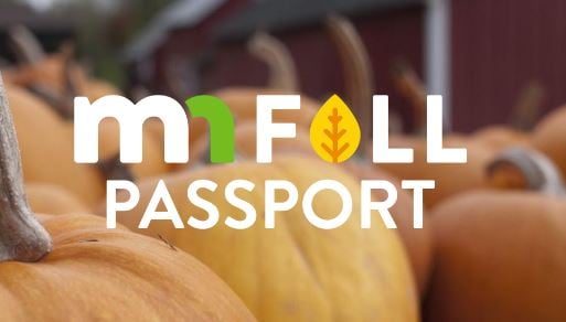 mn fall passport