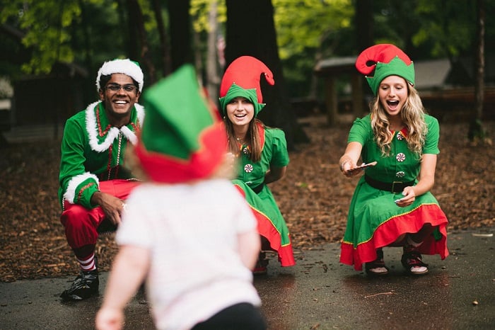 northern express elves