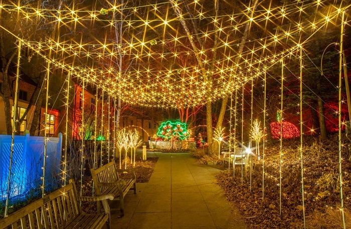 winter lights 2022 walkway