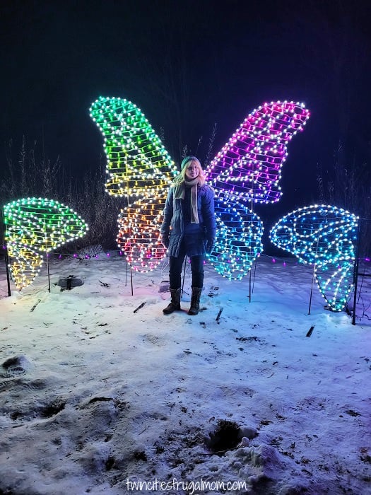 winter lights butterfly