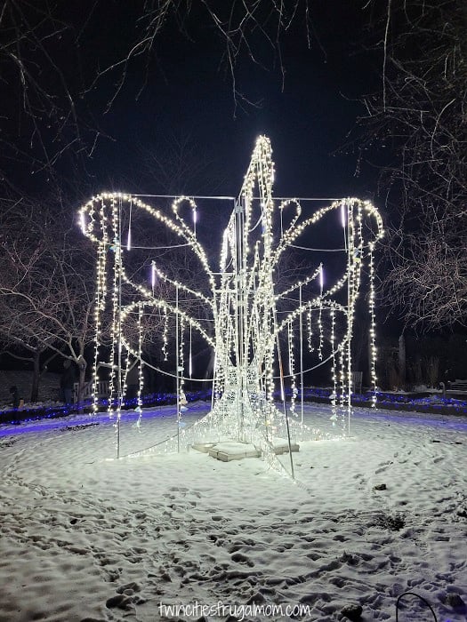 winter lights white tree
