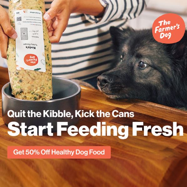 farmers dog subscription deal
