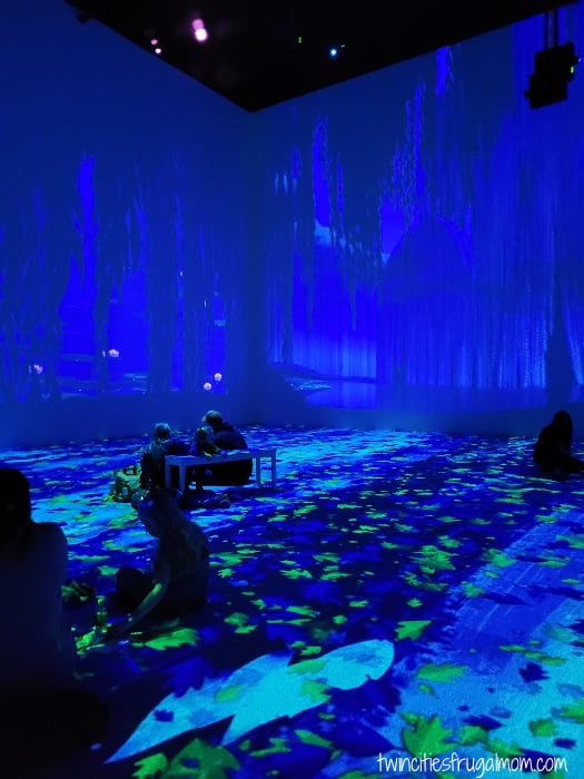 immersive disney pocahontas