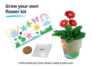 jcpenney kids zone flower pot