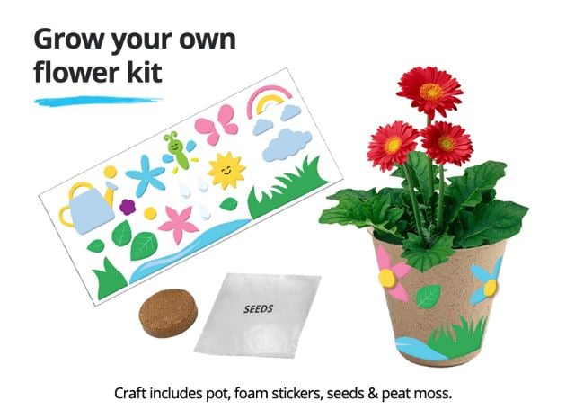 jcpenney kids zone flower pot