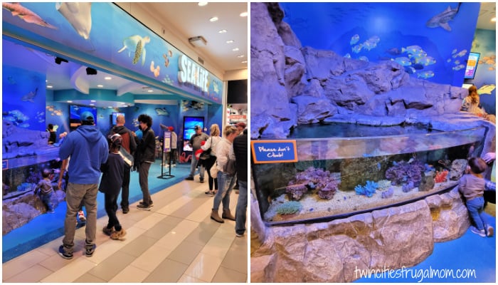 sea life aquarium entrance