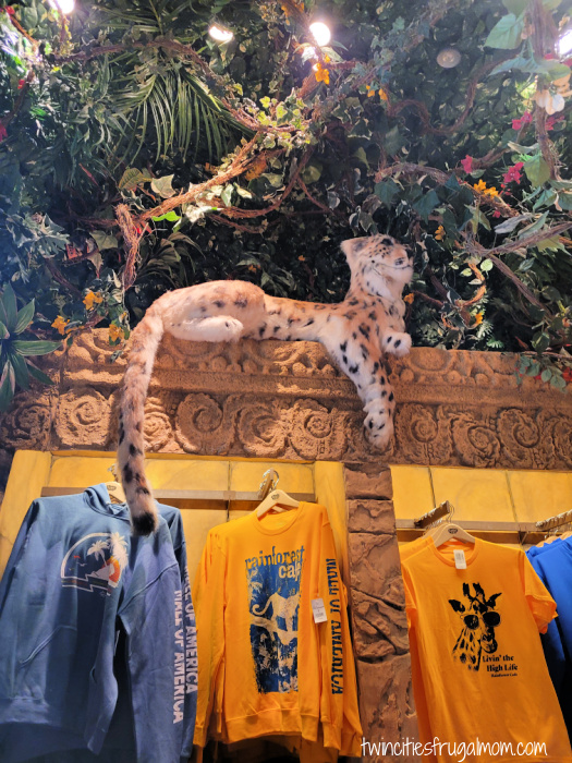 rainforest cafe gift shop