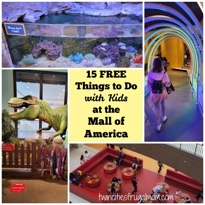 tcfm free things mall of america