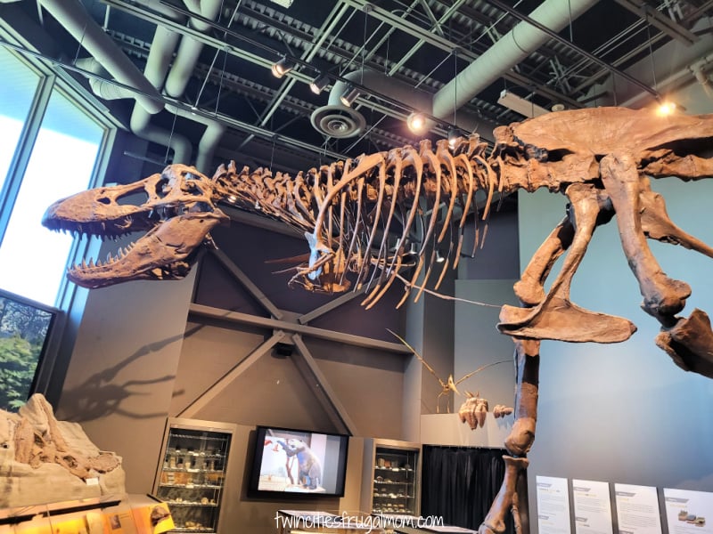 bismarck tyrannosaurus