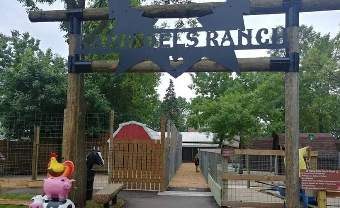 kamp dels petting zoo