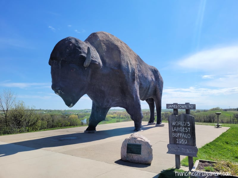 largest buffalo jamestown