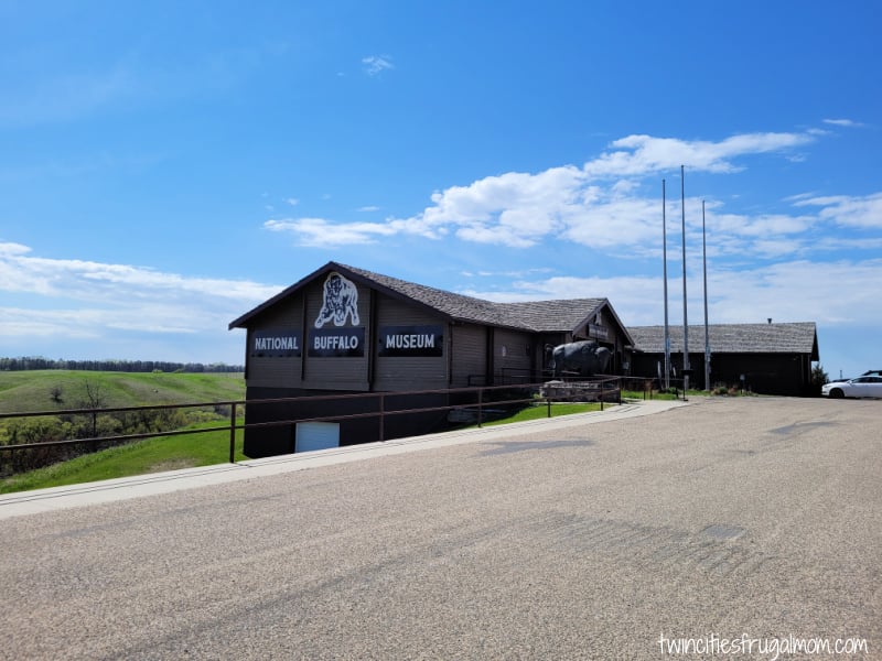 national buffalo museum