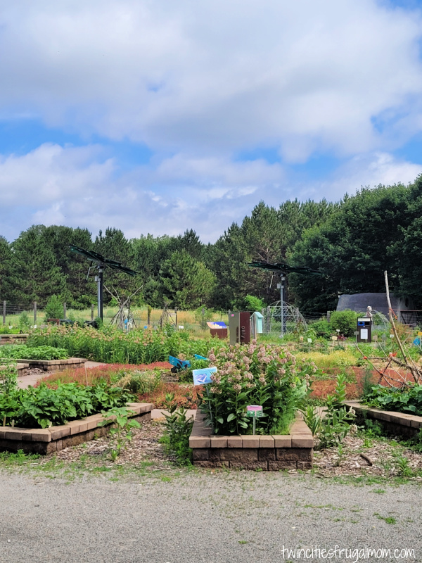tamarack nature center garden