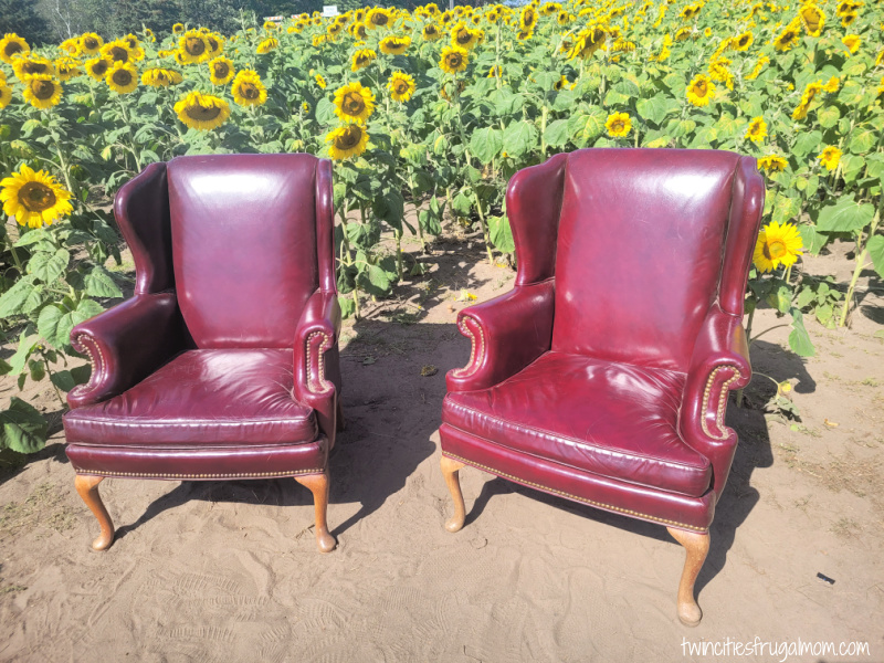 andover chairs sunflower