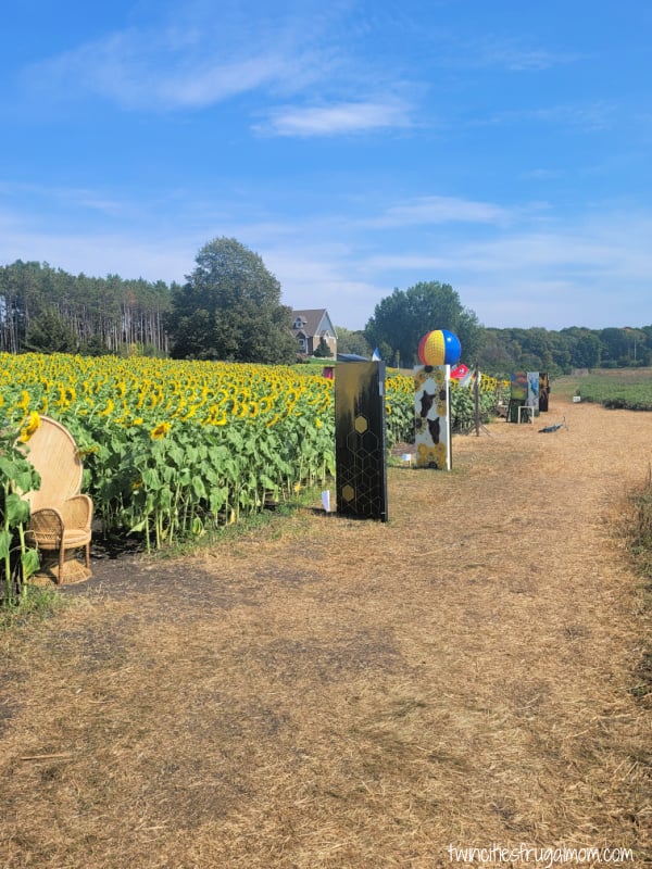 andover sunflower art