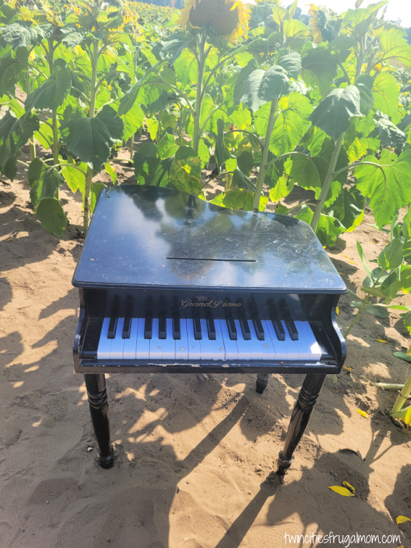 andover sunflower baby piano