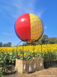 andover sunflower balloon
