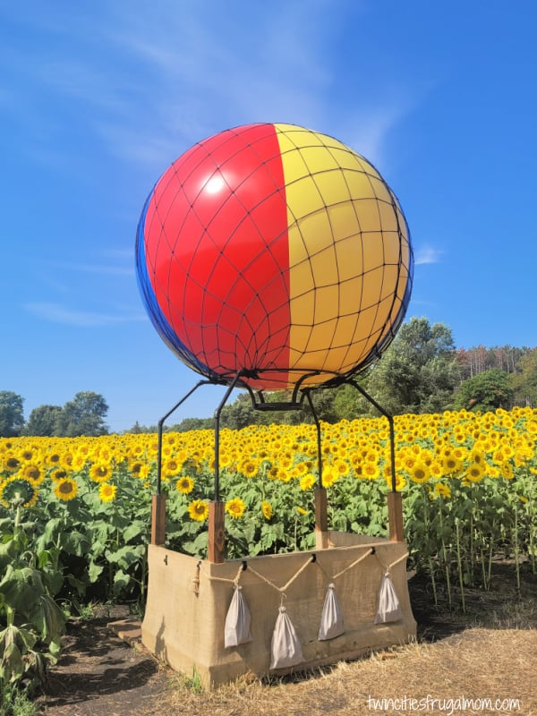 andover sunflower balloon
