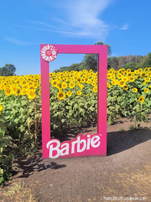 andover sunflower barbie