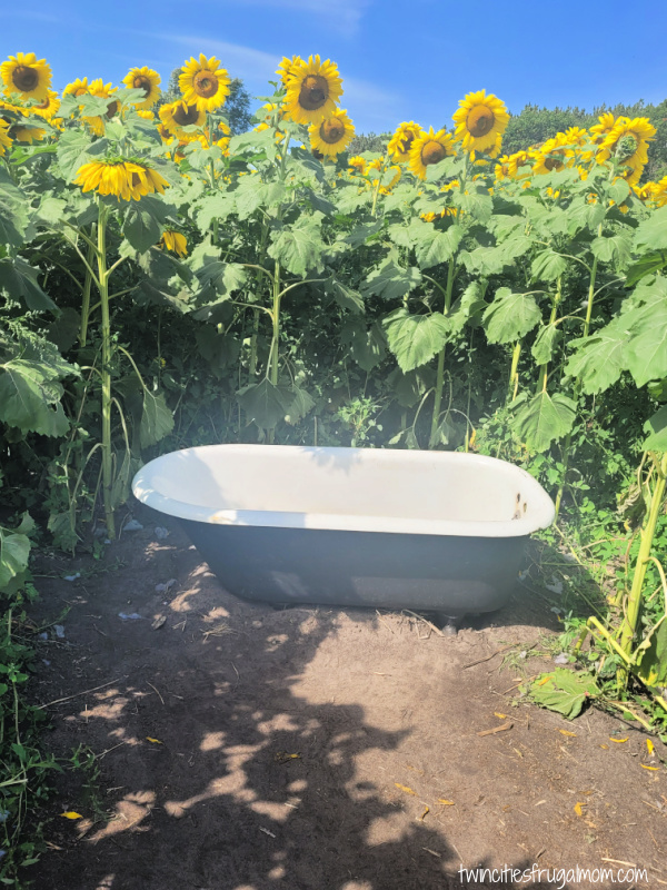 andover sunflower bathtub