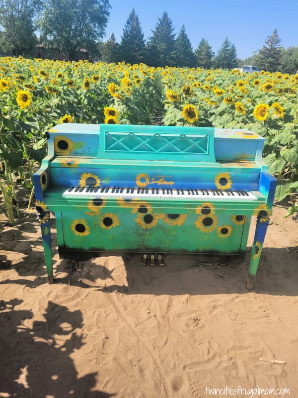 andover sunflower piano