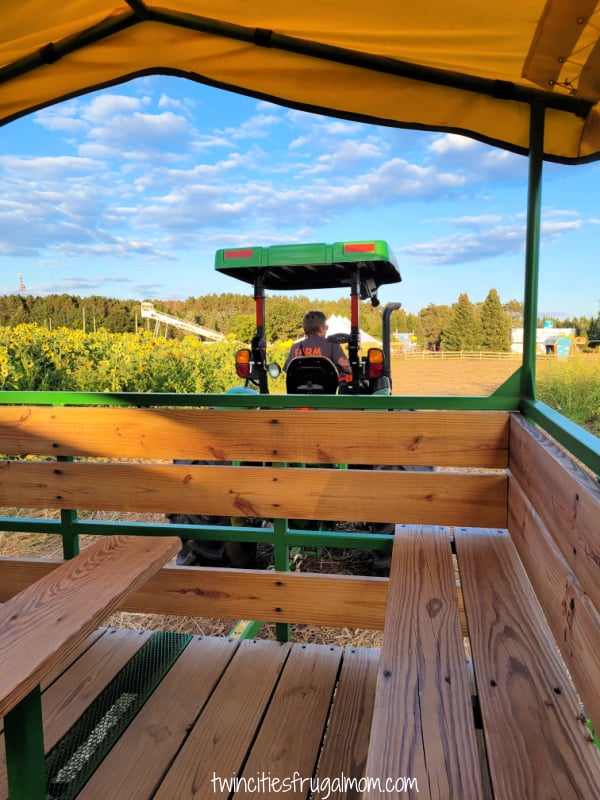pinehaven farm pumpkin trolley
