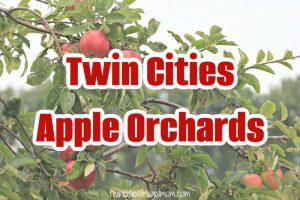 twin cities apple orchards