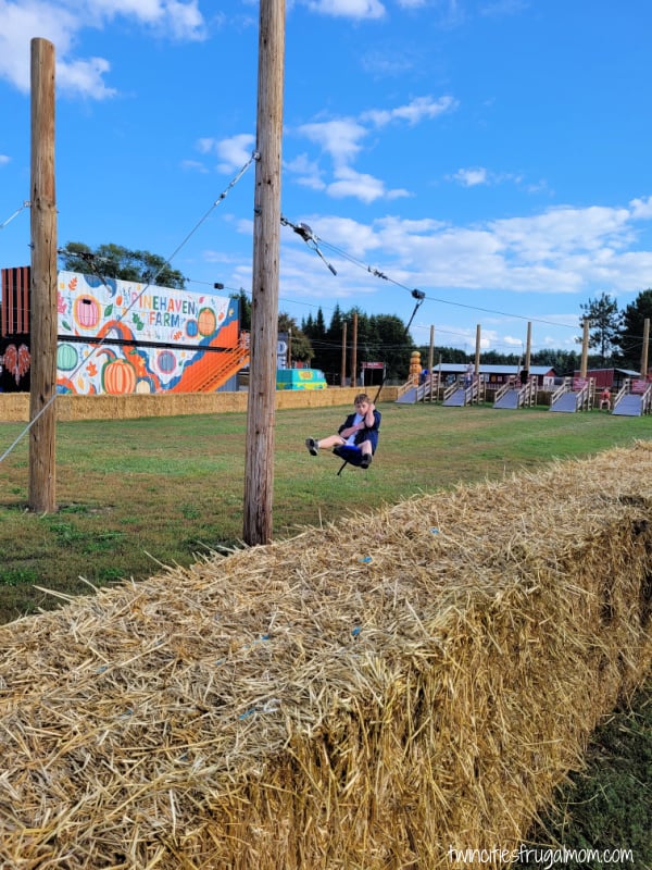 pinehaven zipline