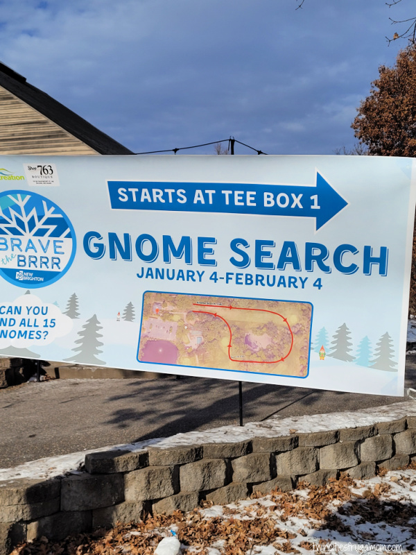 brave the brr gnome search