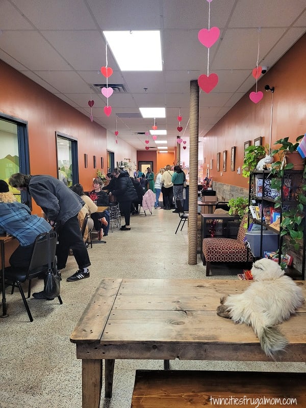 cafe meow roseville