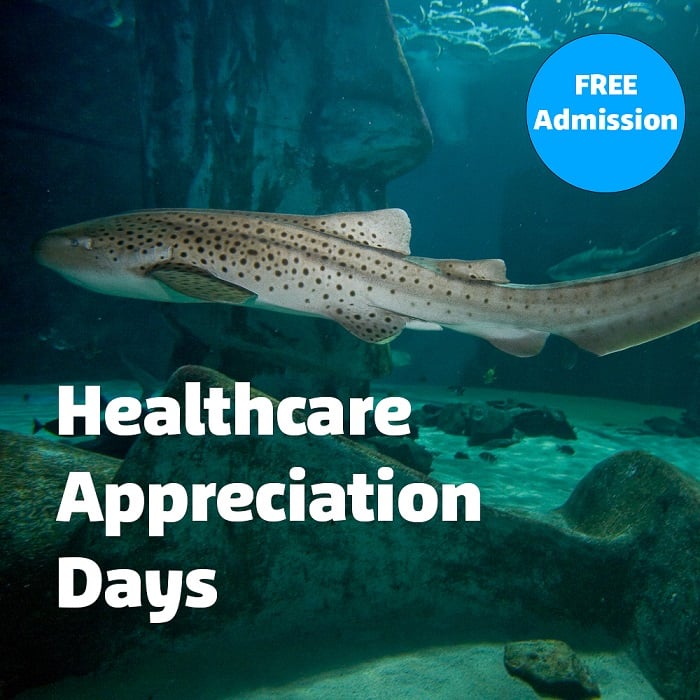 sea life healthcare 2024