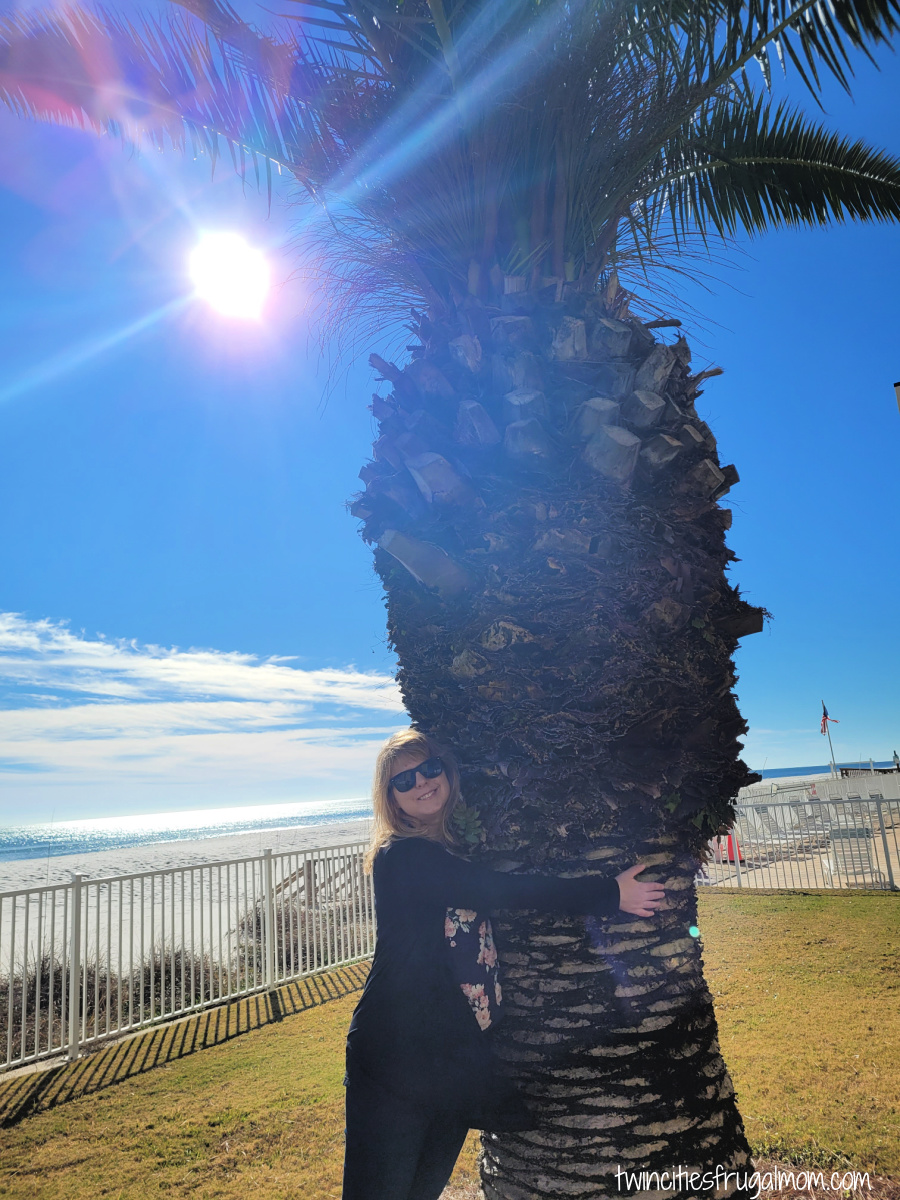 gulf shores hugging palm tree