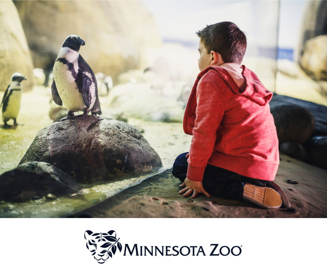 Zoo Kid