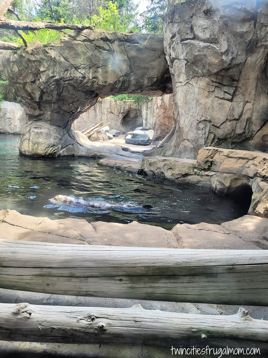 minnesota zoo otters