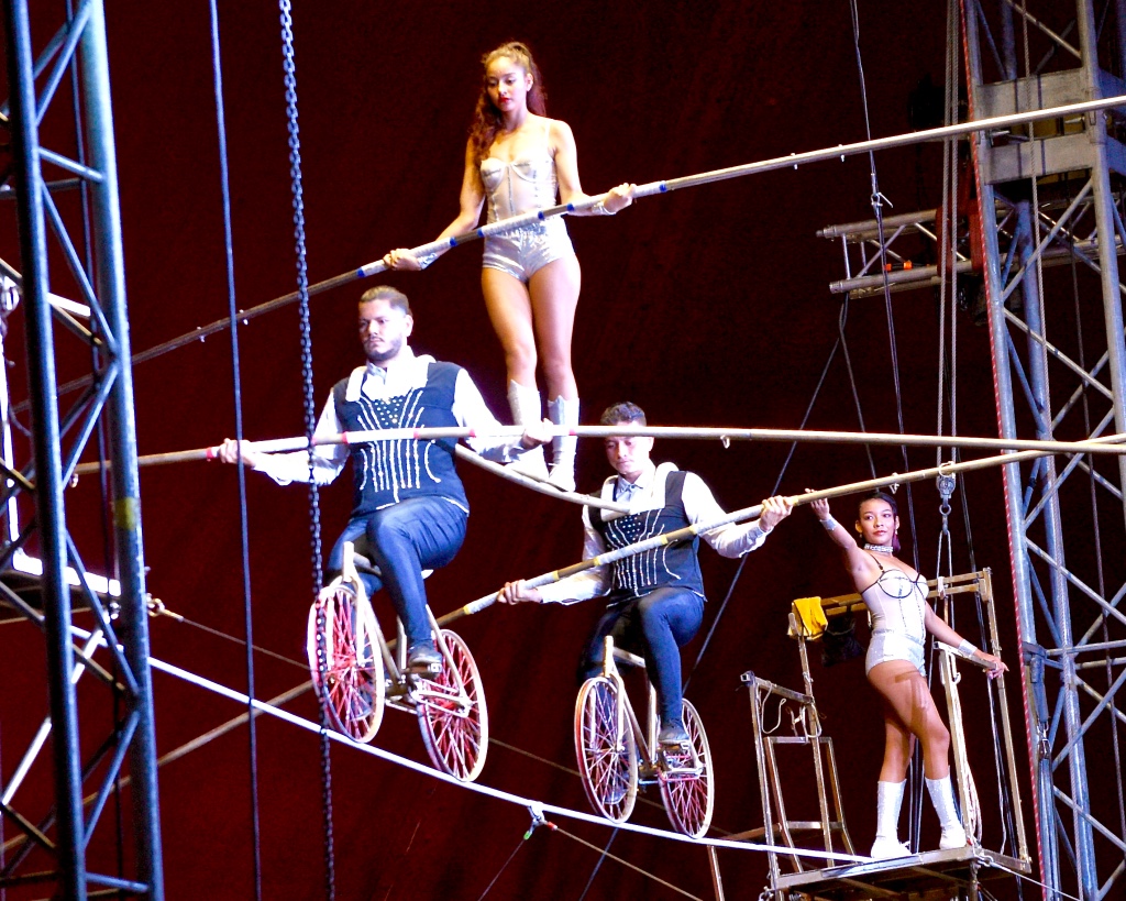 royal circus trapeze bicycles
