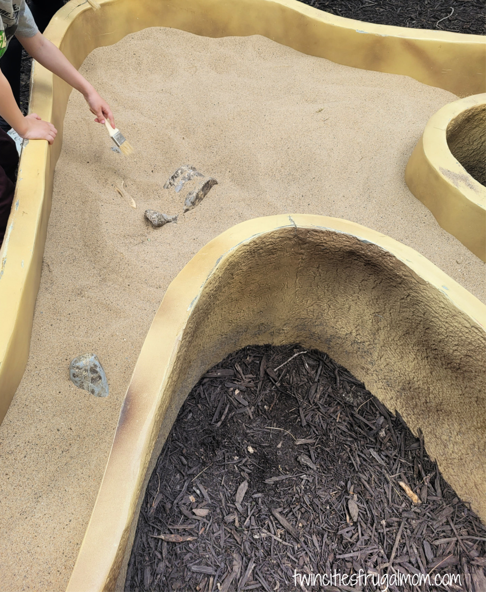 dinosaur expedition como town dig