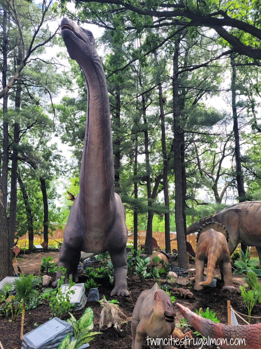 dinosaur expedition como town dinosaurs
