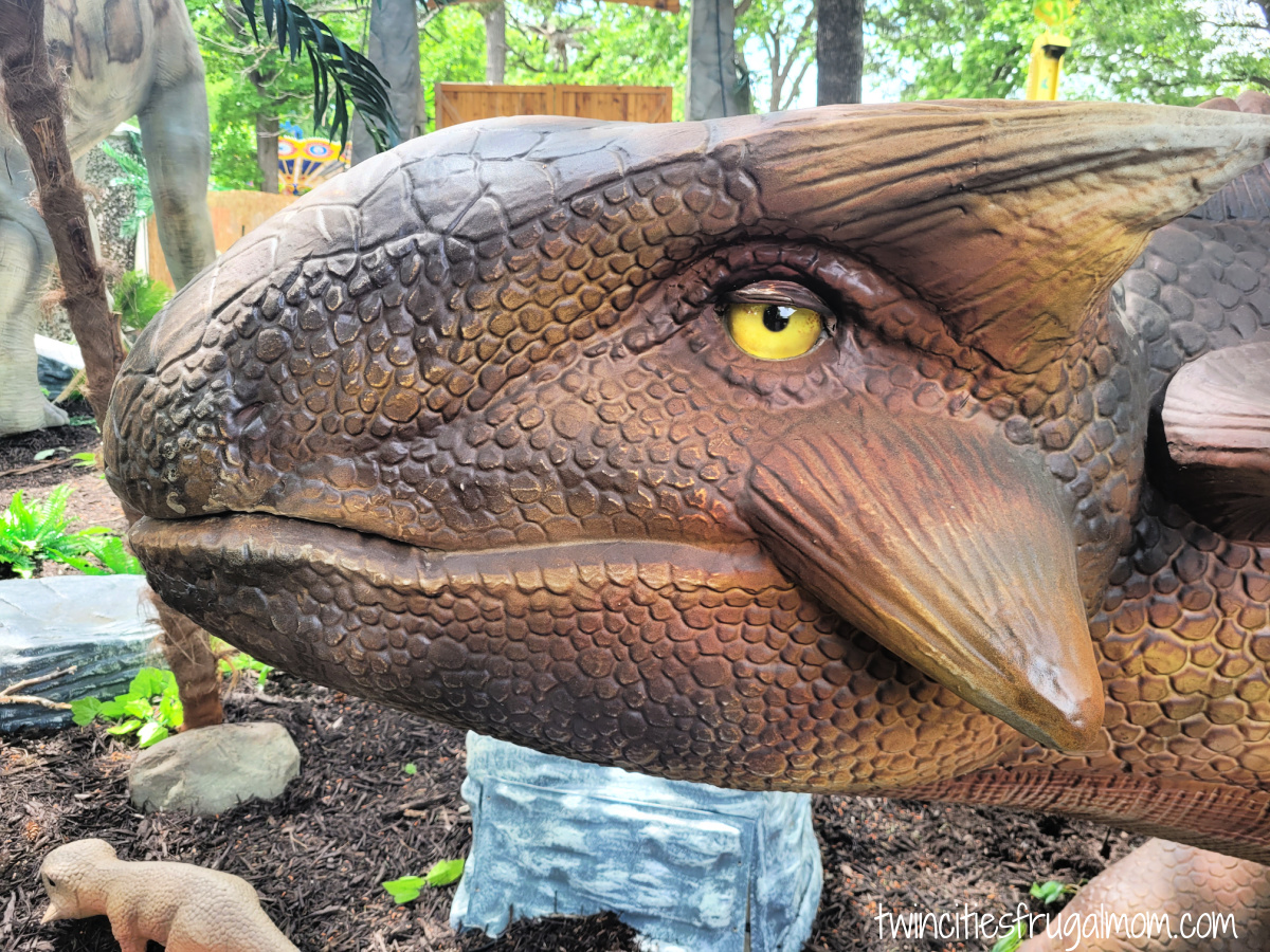 dinosaur expedition como town face