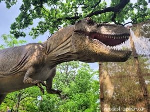 dinosaur expedition como town trex