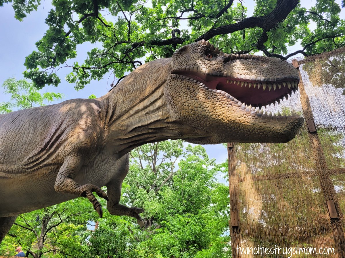 dinosaur expedition como town trex