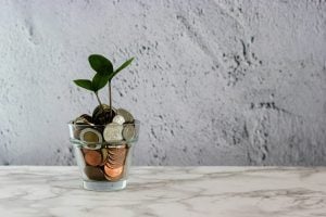 Money Coins Tree
