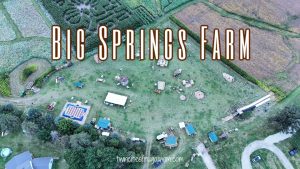 Big Springs Aerial